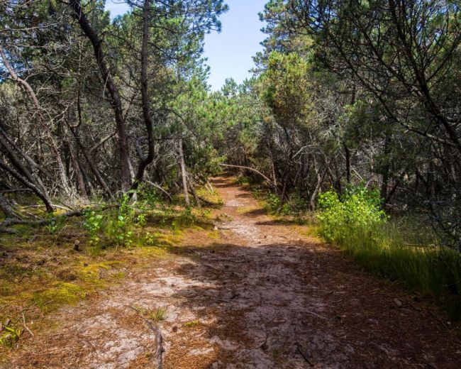 ODPOCZNIJ TAK JAK LUBISZ